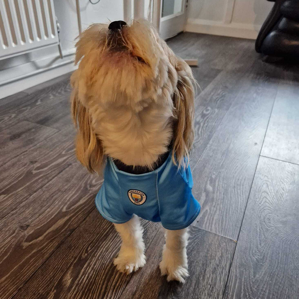 Man City Dog Shirt