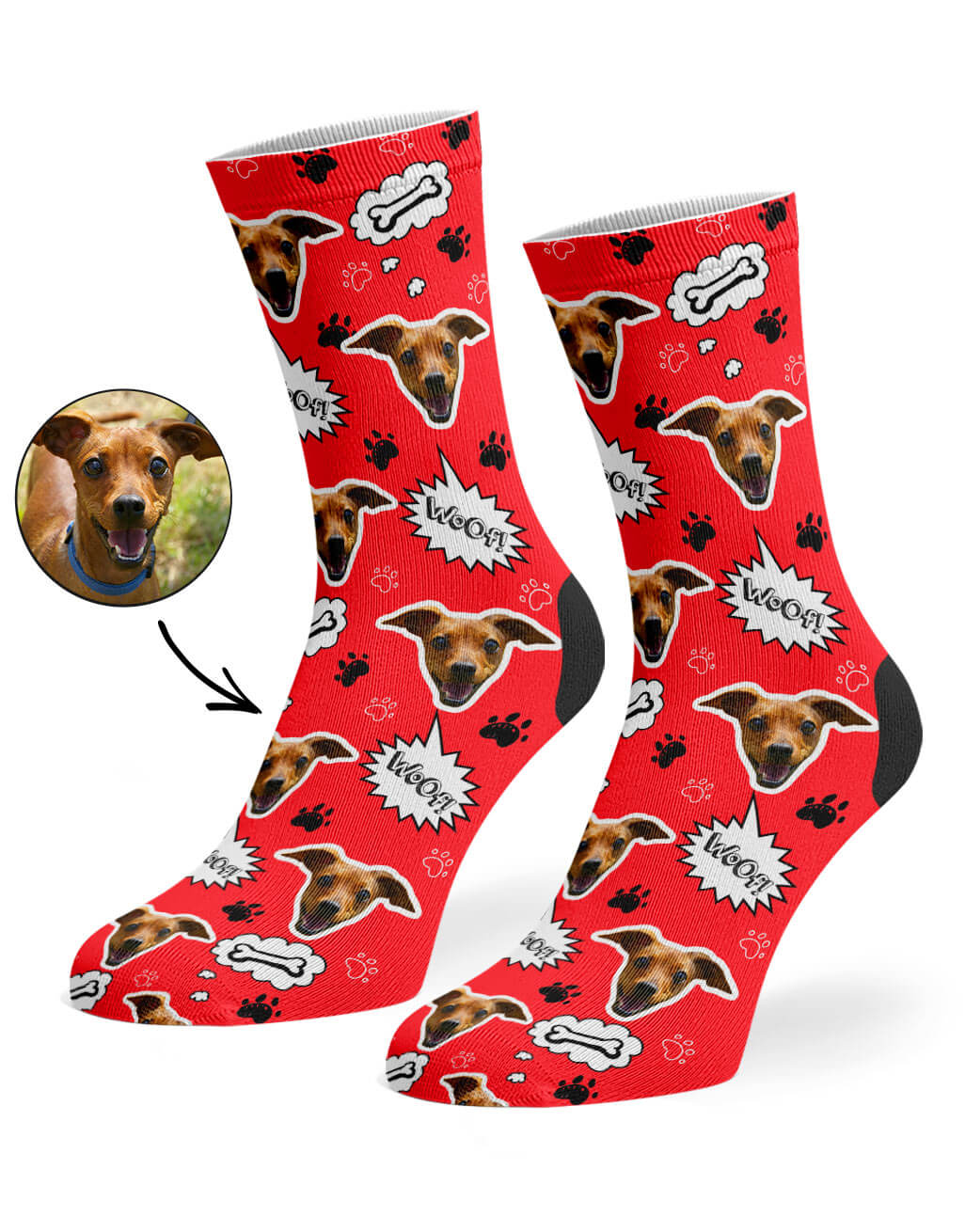 Dog on 2024 your socks