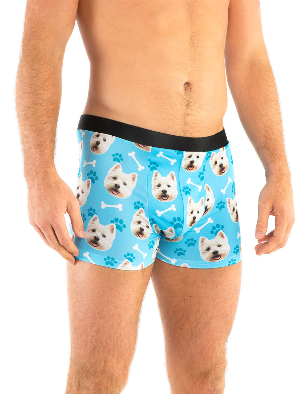https://www.niftygifty.com/cdn/shop/products/Your_Dog_On_Boxers.jpg?v=1643204590&width=1026