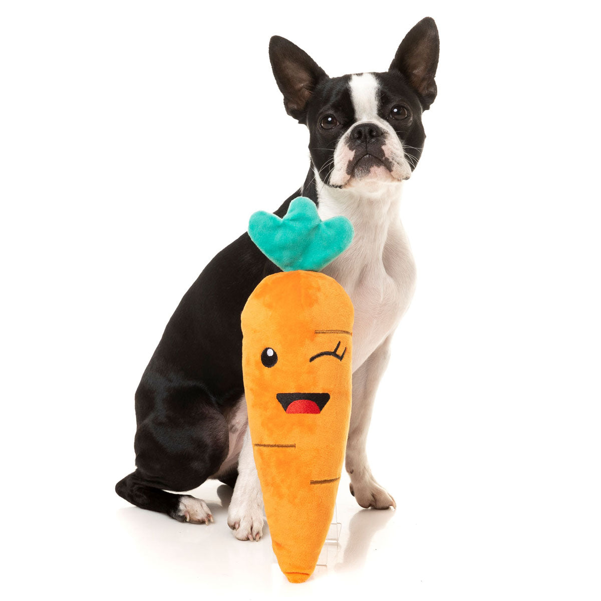 Winky Carrot Dog Toy Custom dog Toy